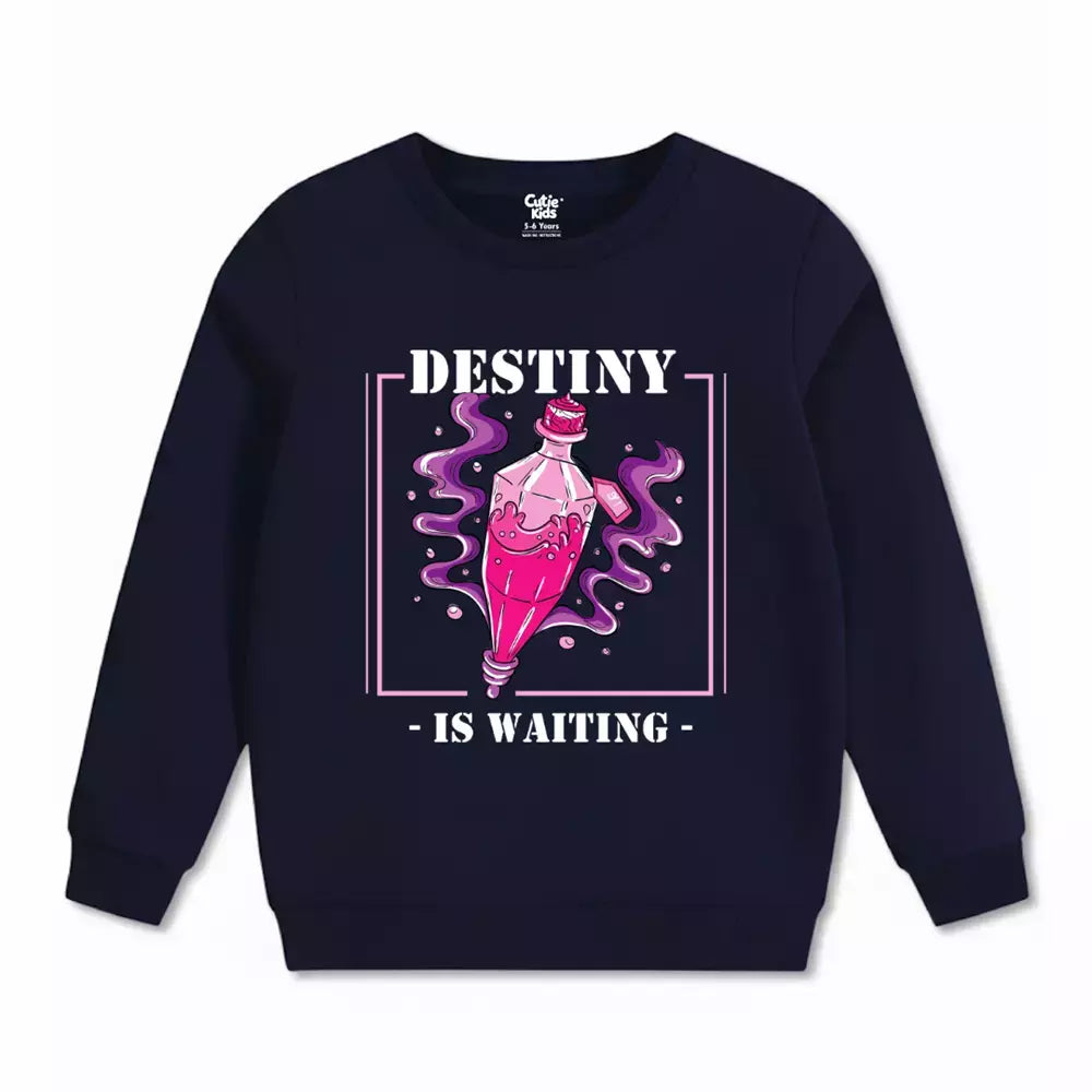 Destiny is Waiting Sweatshirt